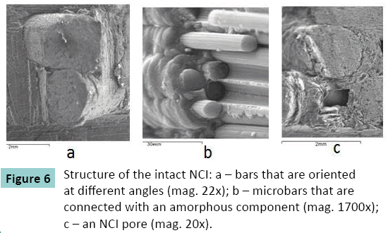 Experimental Study Of Nanostructured Carbon Implants For Management Of Circular Diaphyseal Long Bone Defects Insight Medical Publishing